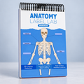 Anatomy Label Lab Workbook