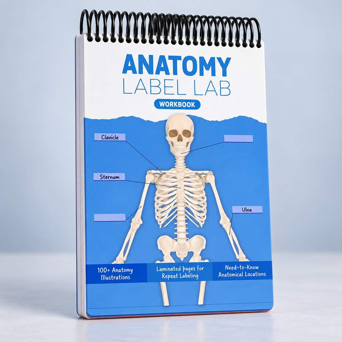 Anatomy Label Lab Workbook